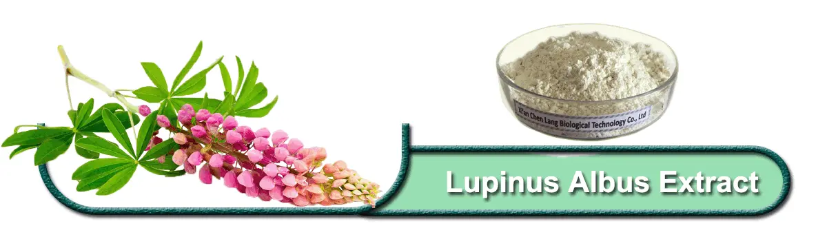 Lupinus albus extract powder.gif